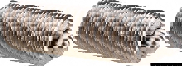 Threaded Spring Plunger: M6 x 1, 0.787